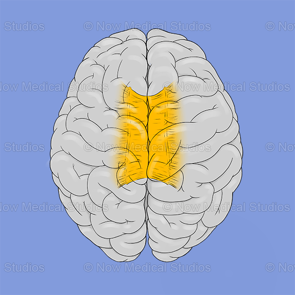 Mysterious Monday 5- Hemispheric&nbsp;Headlines