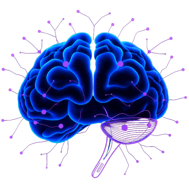 neuralaym